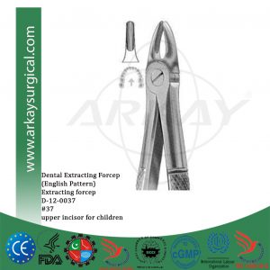 Dental extracting forceps english pattern