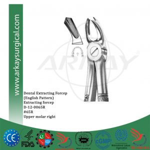 Dental extracting forceps english pattern