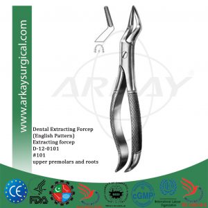 Dental extracting forceps english pattern