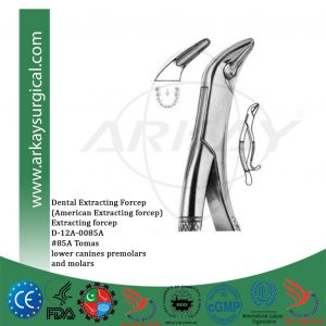 Dental extracting forcep american pattern