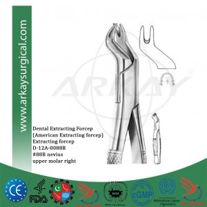 Dental extracting forcep american pattern