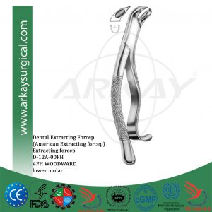 Dental extracting forcep american pattern
