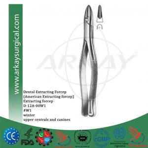 Dental extracting forcep american pattern